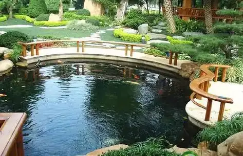 鱼池风水问题.我的一个房子,面南背北,南面是个院子,在院子何处