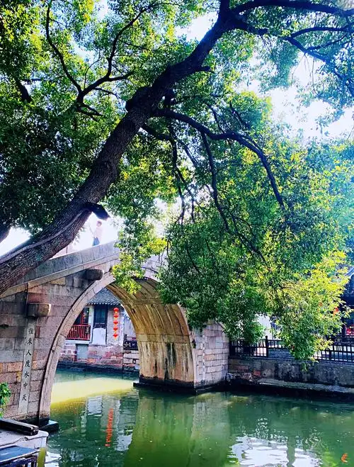 碧波垂柳,小桥流水