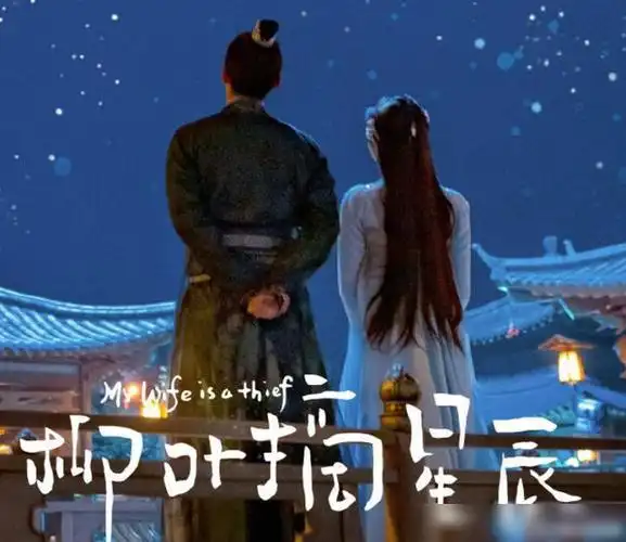 演员|唐晓天|电视剧_网易订阅