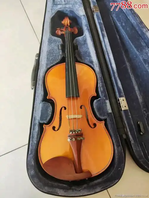 3/4小提琴日产toyama_价格100元_第1张