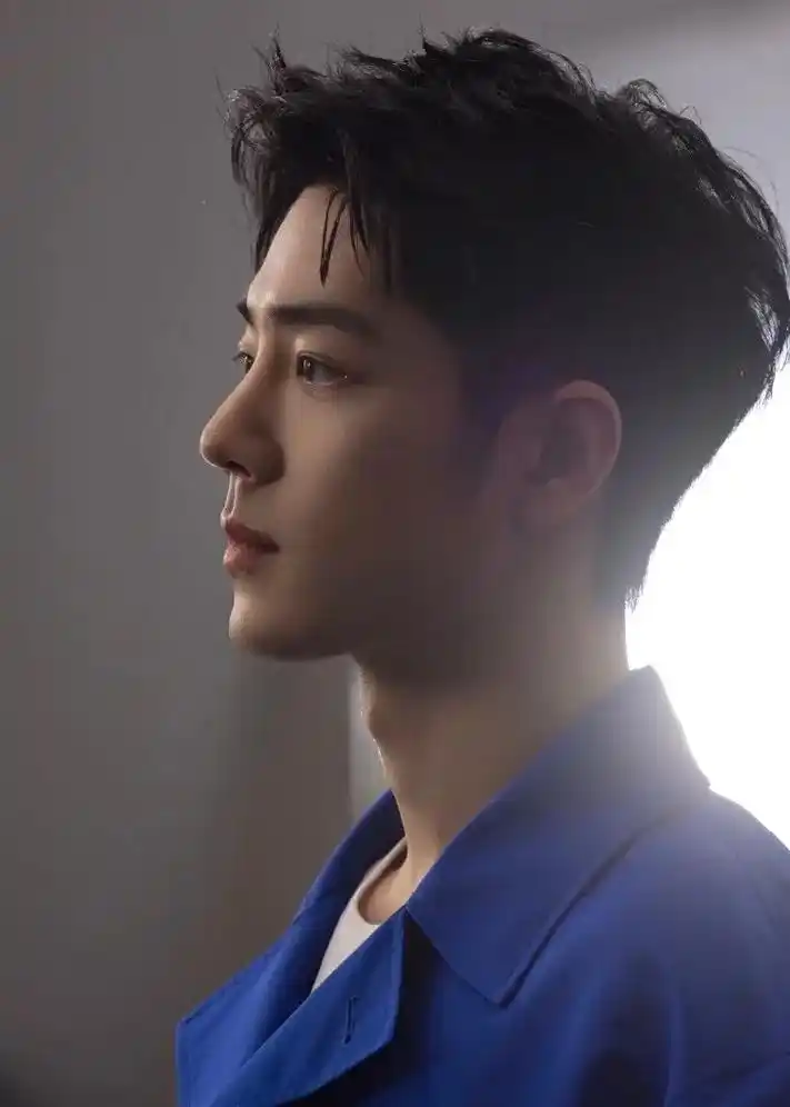 肖战 #侧颜 #日常想念 #承蒙你出现够我喜欢一辈子 #肖 - 抖音