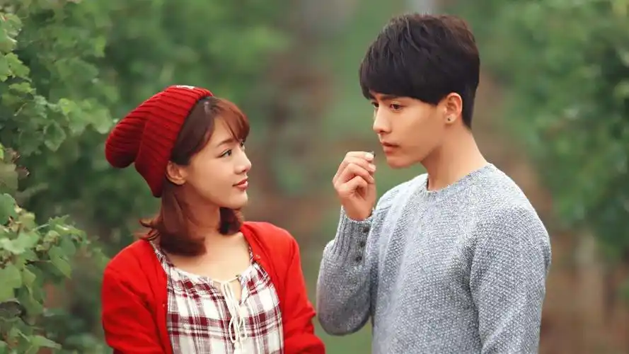 电视剧《缘来幸福》剧照桌面壁纸第一辑