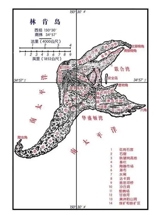 《神秘岛》课后总结