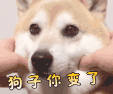 微信表情包 - 我怎么变了.qq表情包 - 发表情 fabiaoqing.com