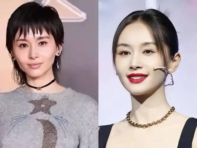 盘点娱乐圈5位整容最成功的女明星,前后判若两人,却毫无痕迹_脸部