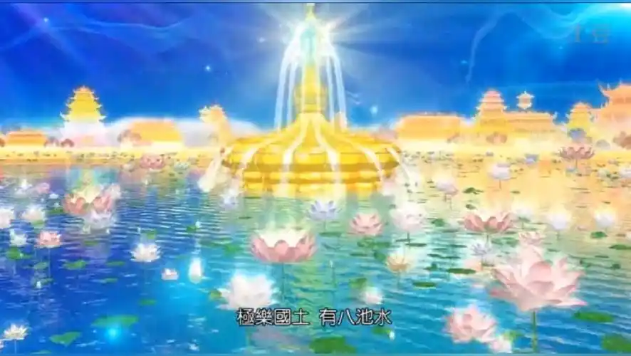 西方极乐世界-体育视频-搜狐视频