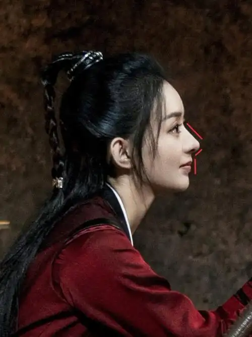 第一次看到赵丽颖只觉得是个很漂亮,很可爱的女演员,后来看到侧脸有被