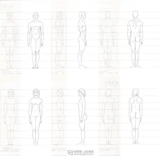 古风插画人体比例傻白