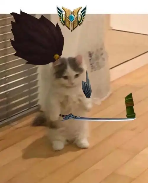 英雄联盟猫猫表情包集合(第一期)