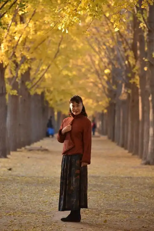 2020年11月10日北京玉渊潭公园钓鱼台银杏大道赏金秋人物美拍个人篇