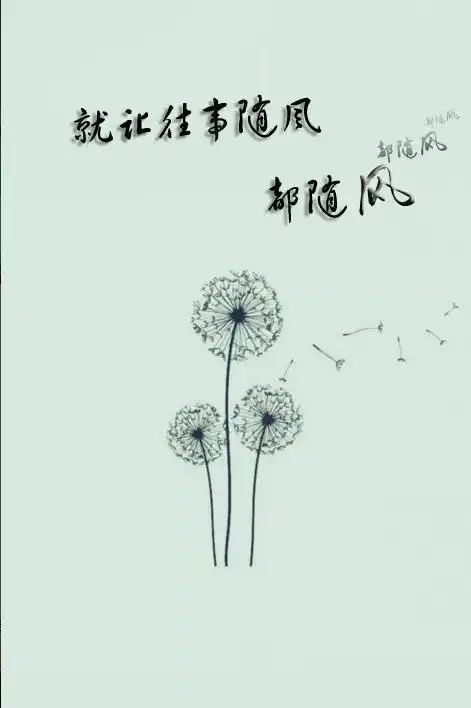 岁月静好,随风而去_网易订阅