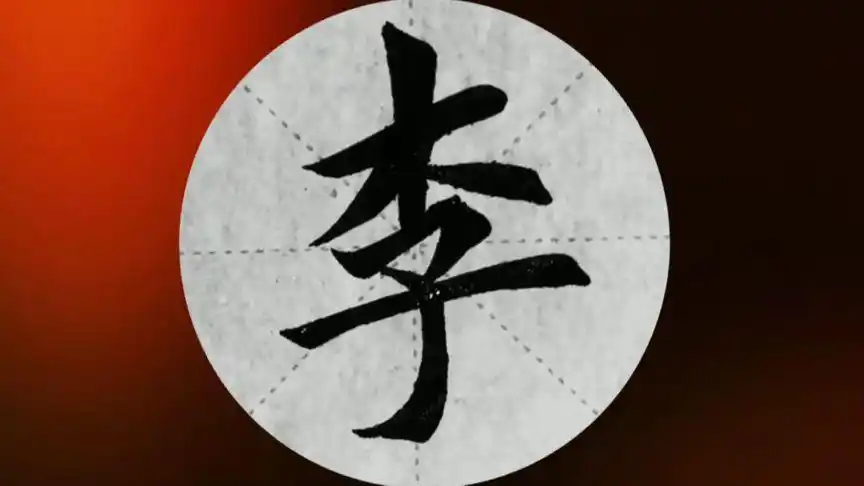 书法羔七李三个字毛笔字欧体楷书写法-教育视频-搜狐视频