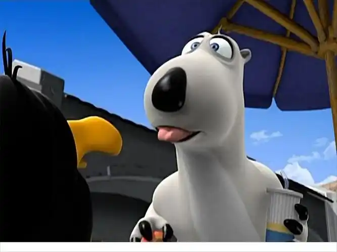 倒霉熊桌面壁纸第12张