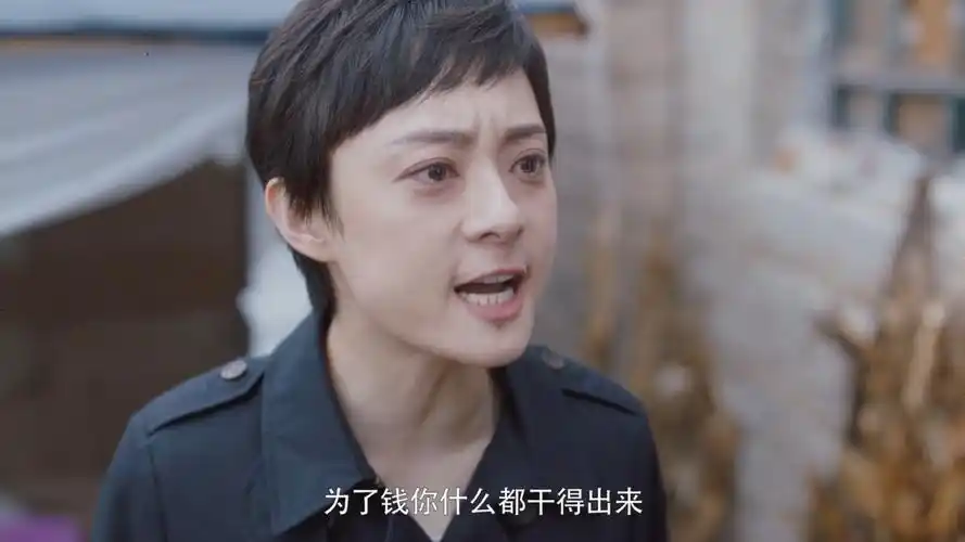 房似锦怒怼她老娘安家