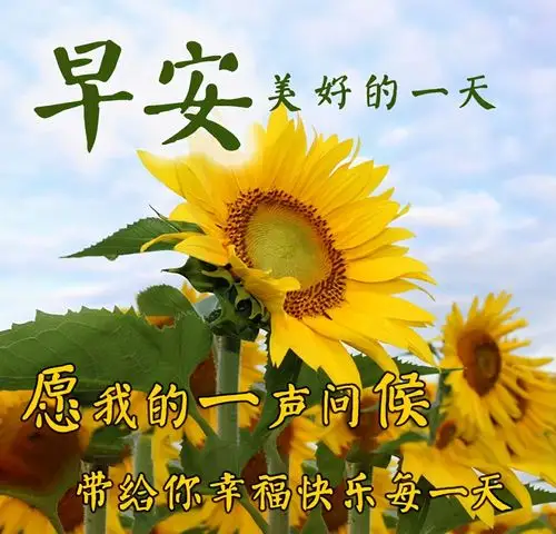 原创2021年早上好问候语温馨图片动态表情清晨祝福语大全带字图片