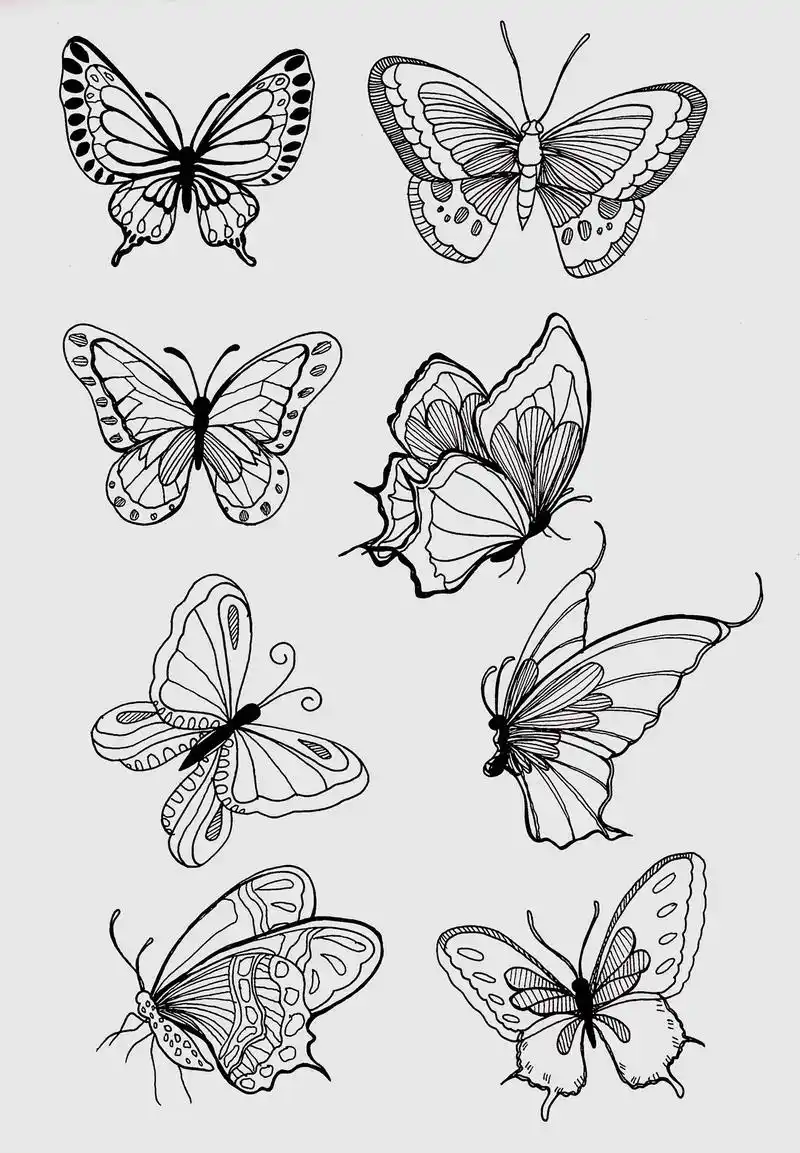 96蝴蝶素材99线稿#我的绘画 #幼儿教师考编 #素材分享 - 抖音