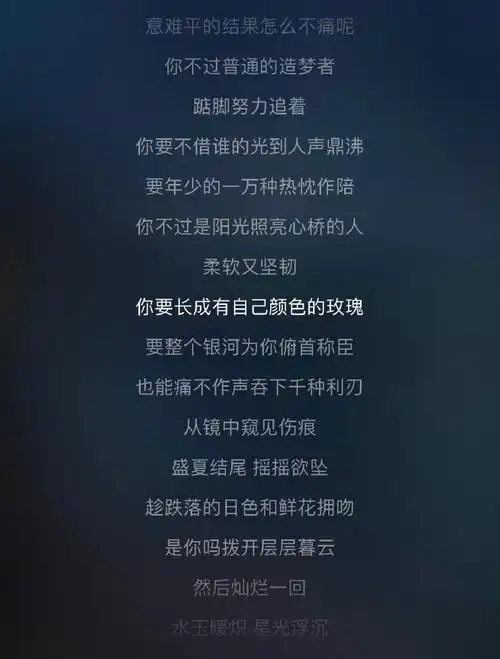 粉丝写给张真源的应援曲