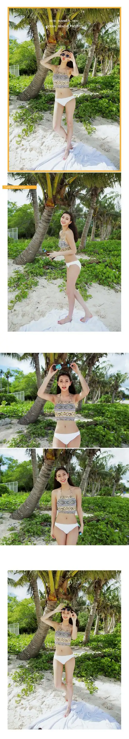 韩国2016新款复古图案比基尼分体泳衣女