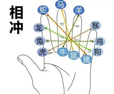 掌中秘诀,十二属相在掌中的位置!