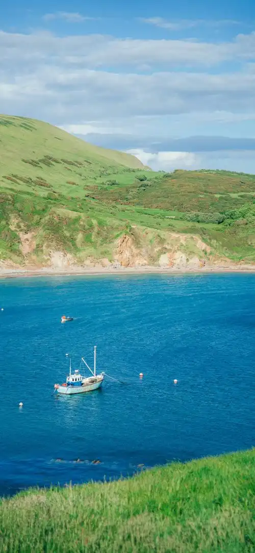 风景壁纸##聊天背景图##手机壁纸