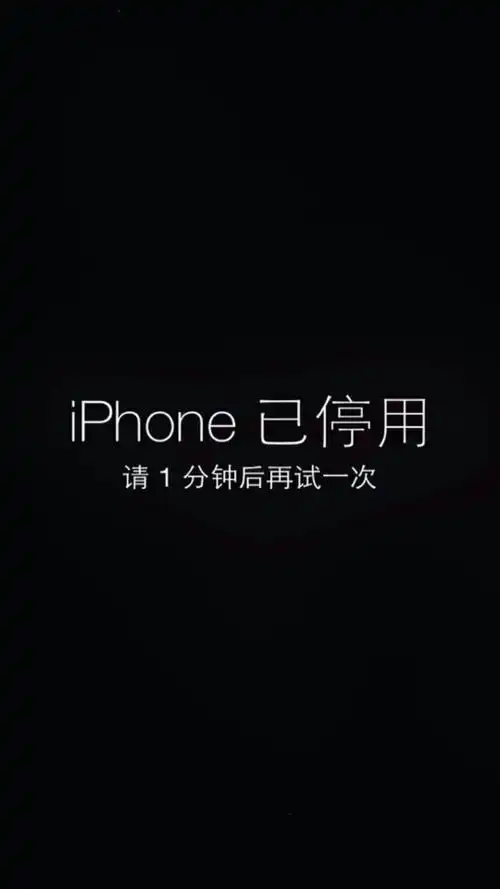 iphone已停用请一分钟后再试 - 堆糖,美图壁纸兴趣社区