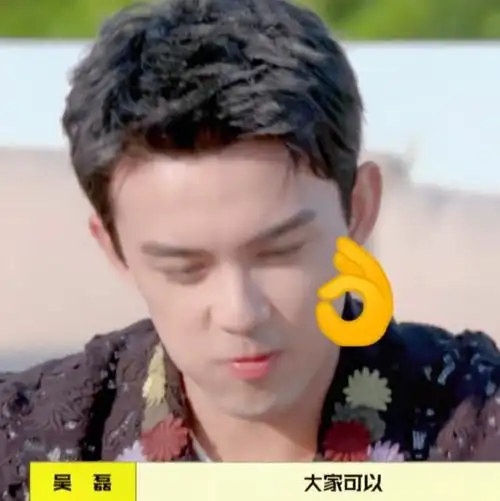 吴磊请拜冰全员吃外卖##吴磊的冰箱好像表情包