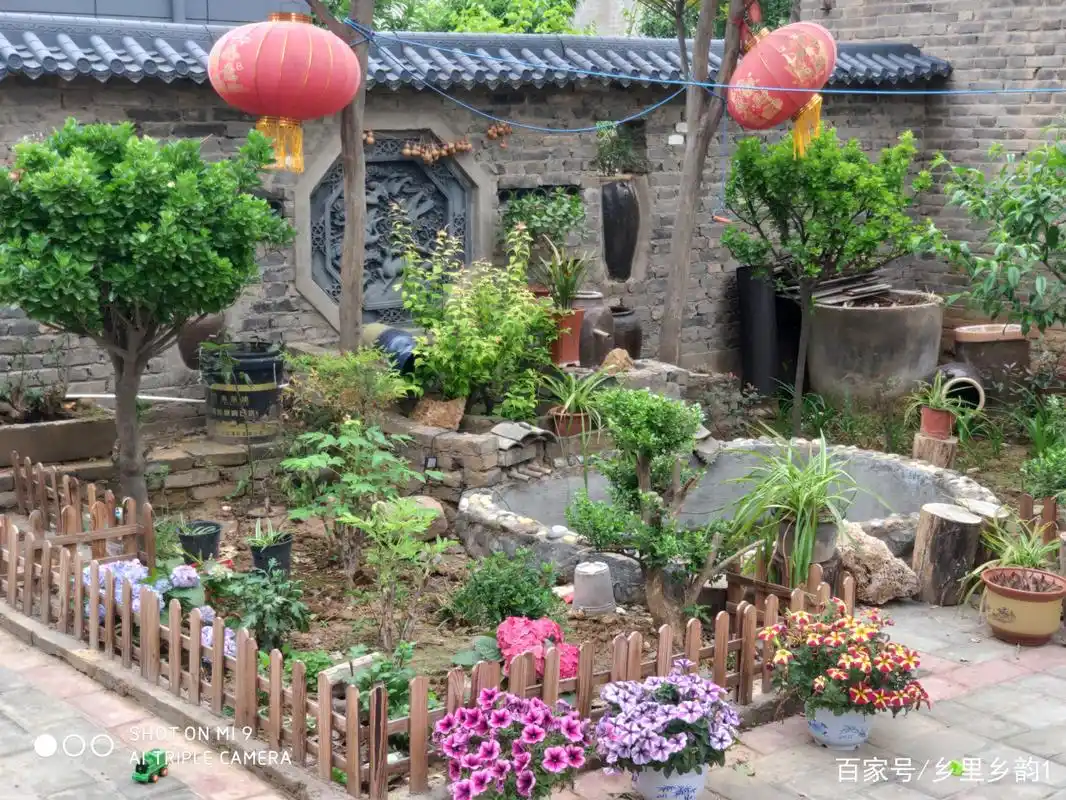 我的农村庭院设计,有花有果还有小菜园,十足的田园风情