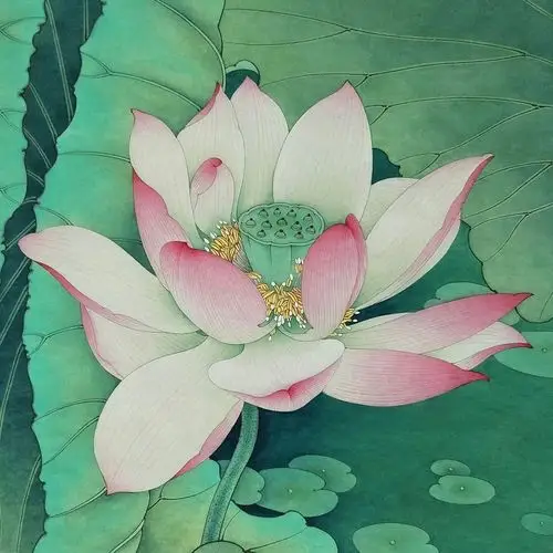 工笔,写意荷花作品! - 美篇