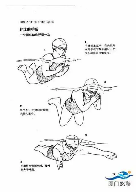 百度卡通蛙泳简笔画