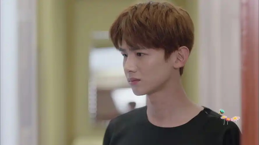 白敬亭可二改/许唯 - 堆糖,美图壁纸兴趣社区