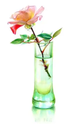 认识彩铅(用彩铅画一颗小苹果教程:)