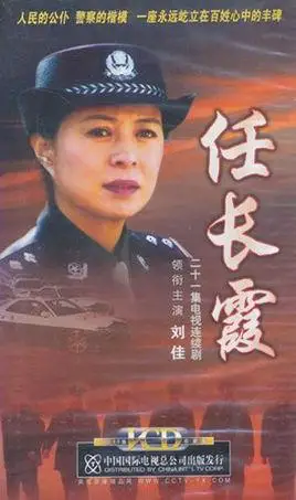 二十一集电视连续剧任长霞21片装(vcd)