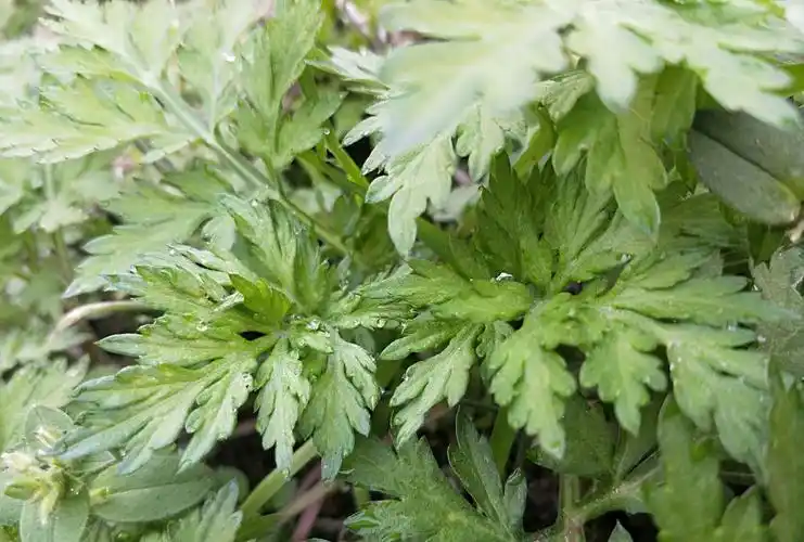 高清图集_新浪网