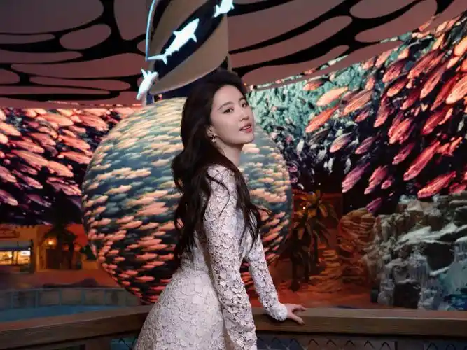 刘亦菲六套造型##刘亦菲体验阿布扎比代言人