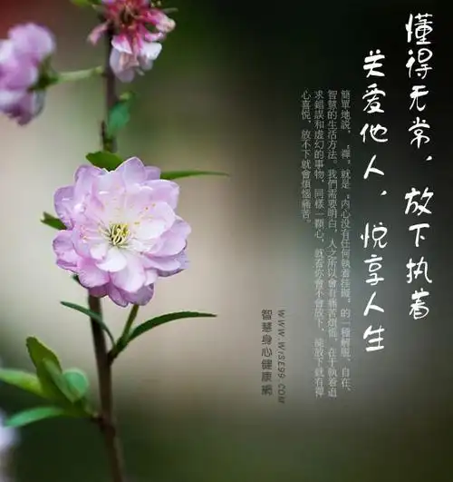 懂得无常,放下执着,关爱他人,悦享人生 ← 禅宗佛学智慧 ← 智慧身心