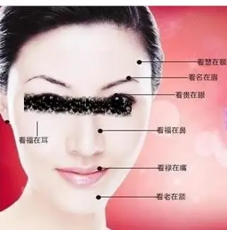 面相:七大发财痣,若有这些特征,恭喜你无论男女,一生大富大贵