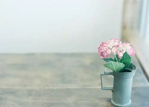 唯美小清新图片意境风景图片纯白静物图片第3张