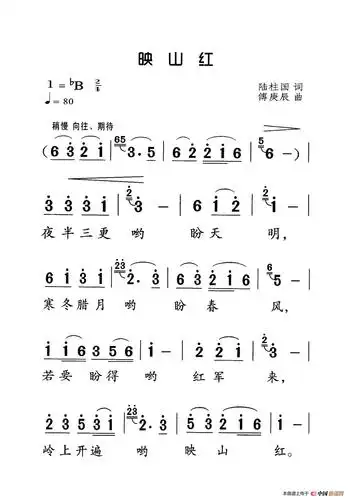 映山红老人适用