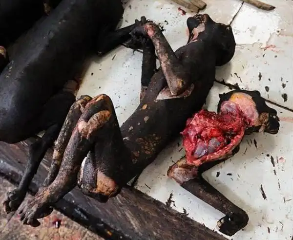 国外恐怖菜市场实录血腥生猛要啥有啥