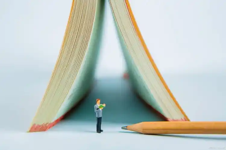 只有出具高中毕业证才能报考成人高考