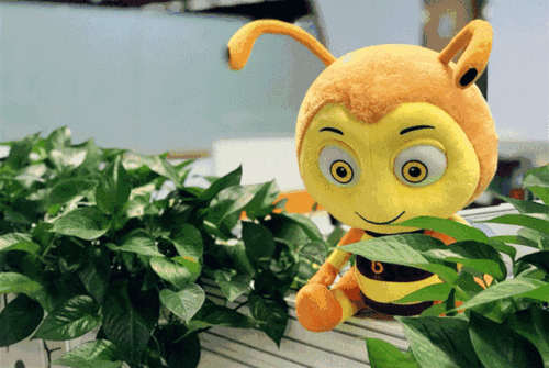 640_429gif 动态图 动图