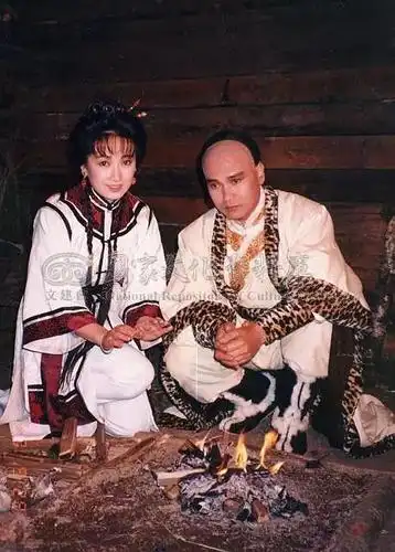 胡斐|雪山飞狐|金庸_新浪新闻