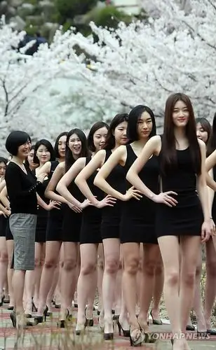 美女vs樱花!韩女生集体走秀 长腿细腰展窈窕身姿【组图】 (5)