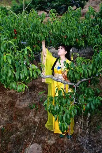仙女摘桃