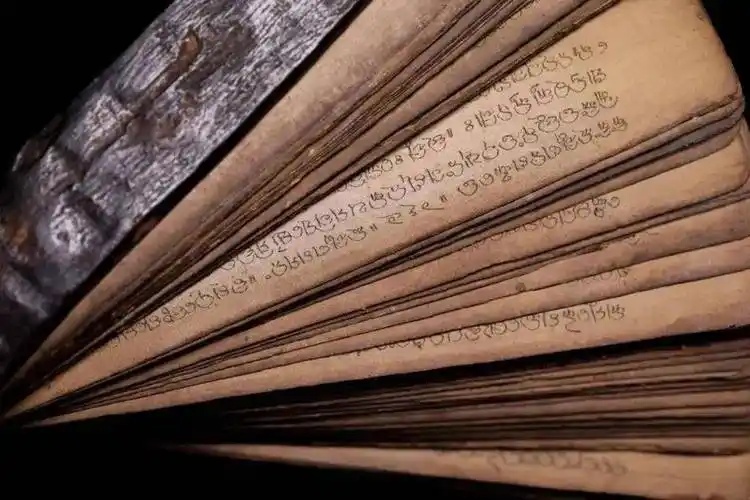书写千年文化方舟——贝叶经_贝树叶_佛教_写本