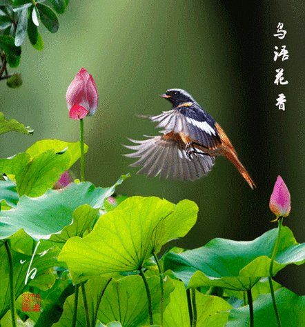 466_500gif 动态图 动图