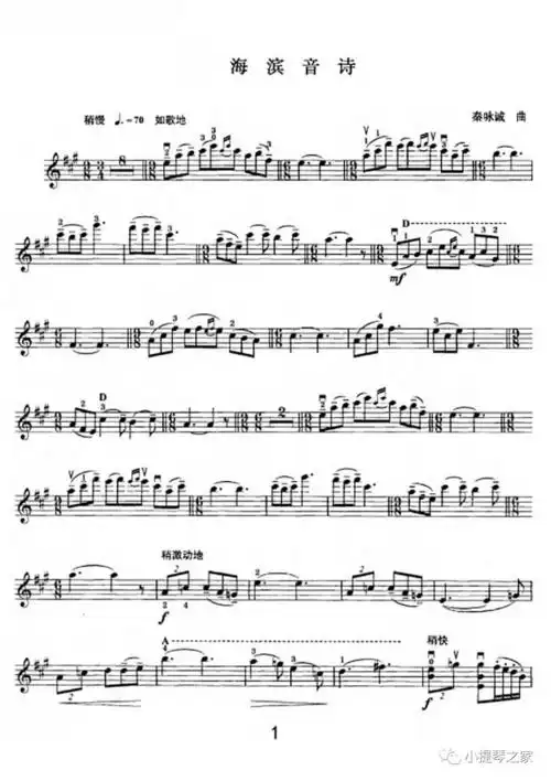 小提琴海滨音诗附小提琴谱盛中国演奏