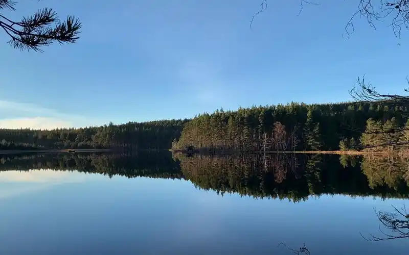 平静的湖水倒映出景色,风景-回车桌面
