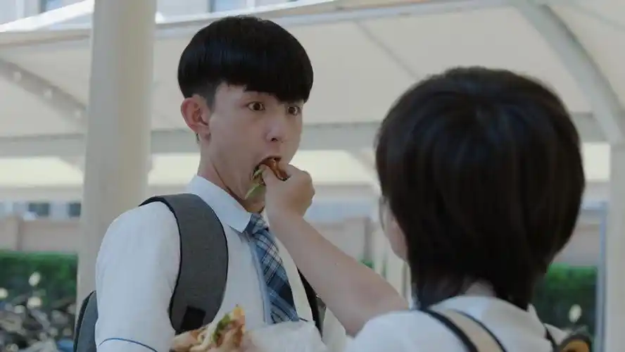 少年派完整版下载中字资源已完结完整观看迅雷bt下载完整已更新