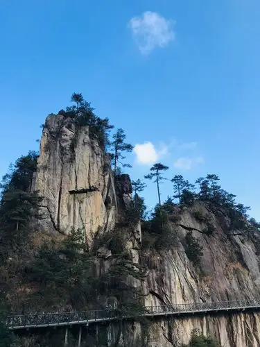 山崖上傲霜斗雪的黄山松,扎根岩石,造型奇特,与山峰,悬崖共同组成一幅